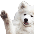 doggo_wave