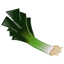 leek